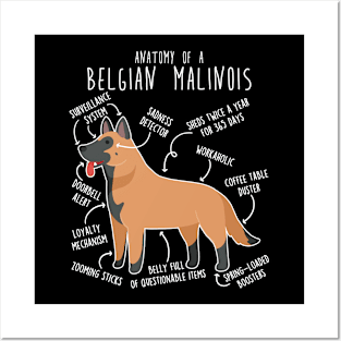 Belgian Malinois Dog Anatomy Posters and Art